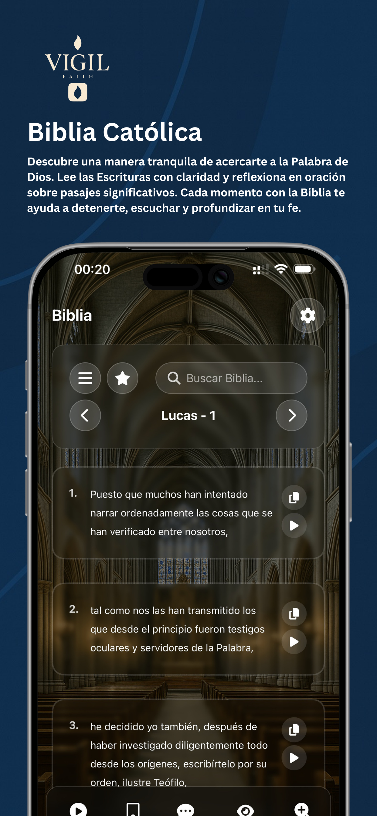 Captura de pantalla de la aplicación Vigil 2